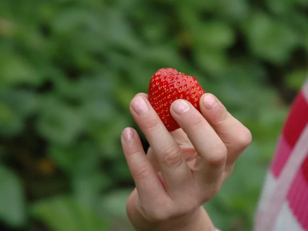 Kind mit Erdbeere