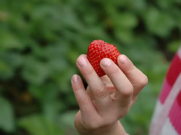 Kind mit Erdbeere