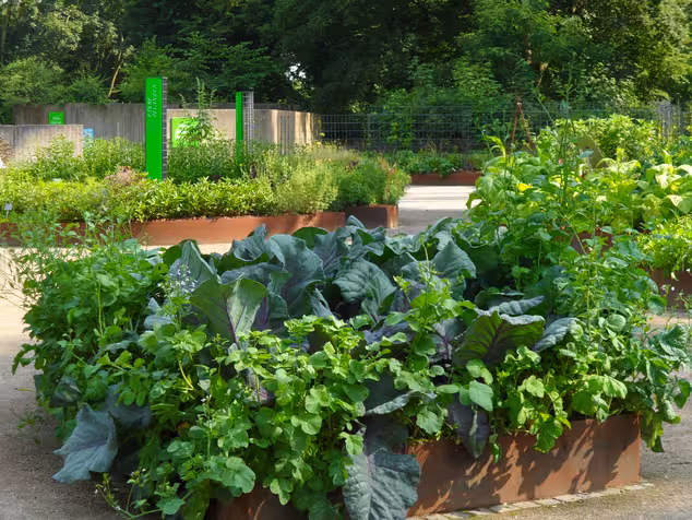 Freundeskreis Botanischer Garten