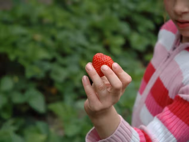 Kind mit Erdbeere
